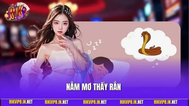 Nằm Mơ Thấy Rắn – Giải Mã Ý Nghĩa Giấc Mơ Chính Xác 2025
